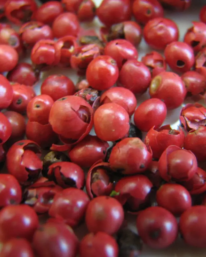 Viele rosa Pfefferbeeren in Nahaufnahme